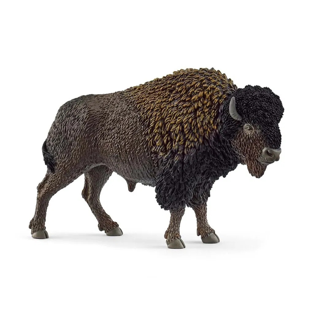 schleich WILD LIFE Bison 14879