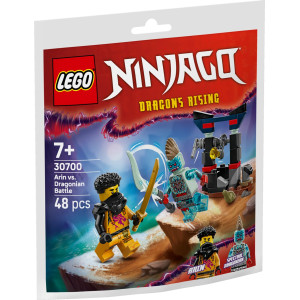 LEGO® Ninjago Arins strid mot dragonier 30700