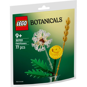 LEGO® Botanicals Ängsblommor 30701