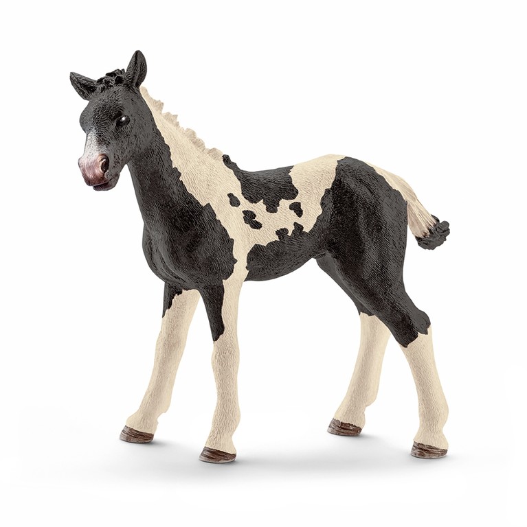 schleich HORSE CLUB Pintoföl 13803